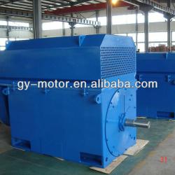 Russia Gost High voltage motor 1000KW