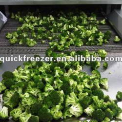 SDL-300 vegetable fluidized tunnel freezer