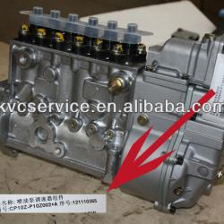 SDLG Fuel injection pump CP10Z-P10Z002+A / 4110000186618 for Shangchai C6121 engine part