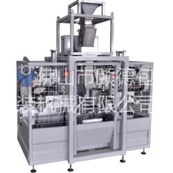 Single chamber vacuum packaging machine for food