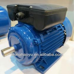 single phase squirrel cage induction motor