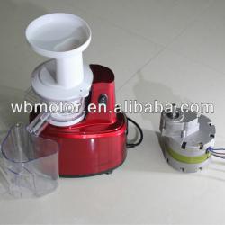 slow juicer motor