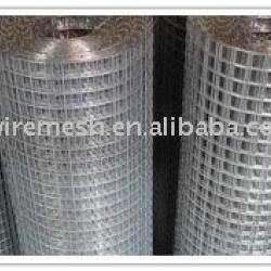 ss wire mesh