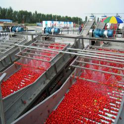 TOMATO ELEVATOR