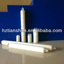 TS 0.2Micron PES Pleated Filter Cartridges