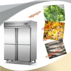 Vegetable and meat freezer machine | Food retain freshness machine