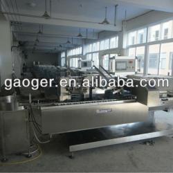 Vials Automatic Cartoning Machine (ZHB-100)