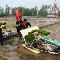 walking behind rice transplanter with high quality and famous brand