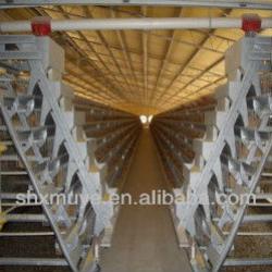 whole broiler chicken cage