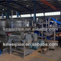 whole Fruit processing line