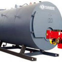 WNS series gas fired boiler