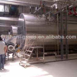 WNS Series Gas Industrial Steam Boiler