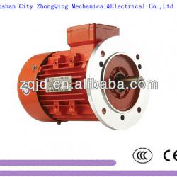 Y MOTOR three-phase cast iron Motor