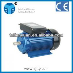 YL small electric motor