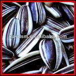 Electric / Gas Melon seeds Fry Roasting machine