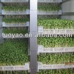 2013 HOT selling Fodder Sprouting System for Animal Feed