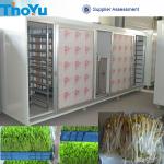 Mung sprouts growing machine on sale