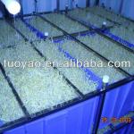 Bean processing machinery / Automatic Soybean Sprout machine