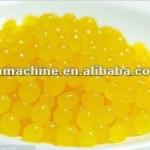3000L/H Strawberry Coating Juice Processing Machine