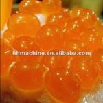 3000L/H Apple Coating Juice Processing Machine