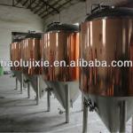 Fermentation tank/brewery equipment for pub, resturant