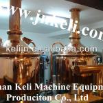 500L hotel beer equipment or micro brewery equipment,beer brewing kit