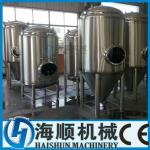 1000L Stainless Steel(S.S) Conical Beer fermentation tank