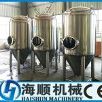 2000L Stainless Steel(S.S) Conical Beer fermentation tank(CE certification)