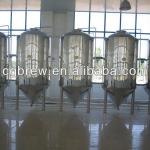 CG-300L of Copper brewery equipment/plant/machine