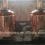 300L luxury hotel beer brewing equipment
