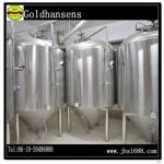 Hot Product -20hl beer brewing fermenter