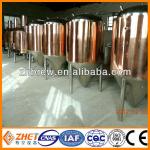 micro red copper beer equipment system CE