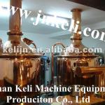 300L micro beer brewery equipment,beer fermentation tanks for sale