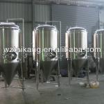 stainless steel conical beer fermenter / beer fermentor / stainless steel fermentation tank