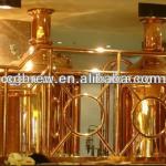 CG-300L of micro beer brewing system/equipment/system/machine