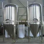 Brewing fermenters