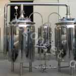 200L micro brewery new type beer brewing equipment