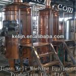 500L hotel small beer equipment or micro brewery equipment