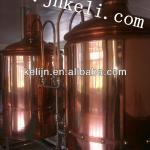 hotel beer equipment, pub brewing, microbrewery, beer fermentation