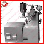 Stainless steel homogenizer for lab