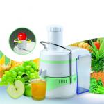 250 W Extractor Juicer