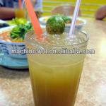 Electric Sugar Cane Juicing Extractor