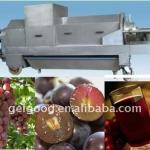 High Capacity Grape Juice Extractor