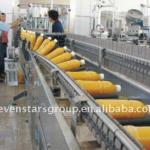 PET bottle inverting sterilization machine