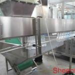 SUS304 automatic mineral water manufacturing plant