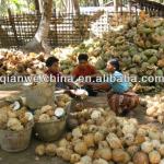 coconut milk process plant