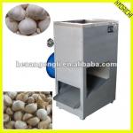 New design small size home use garlic machine