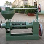 Small Screw Oil Press