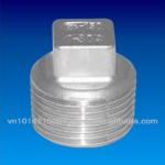 Stainless Steel Plug - Square Head Male Threaded