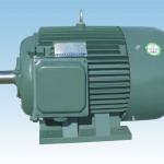 YD series electric motor food processing machinery parts